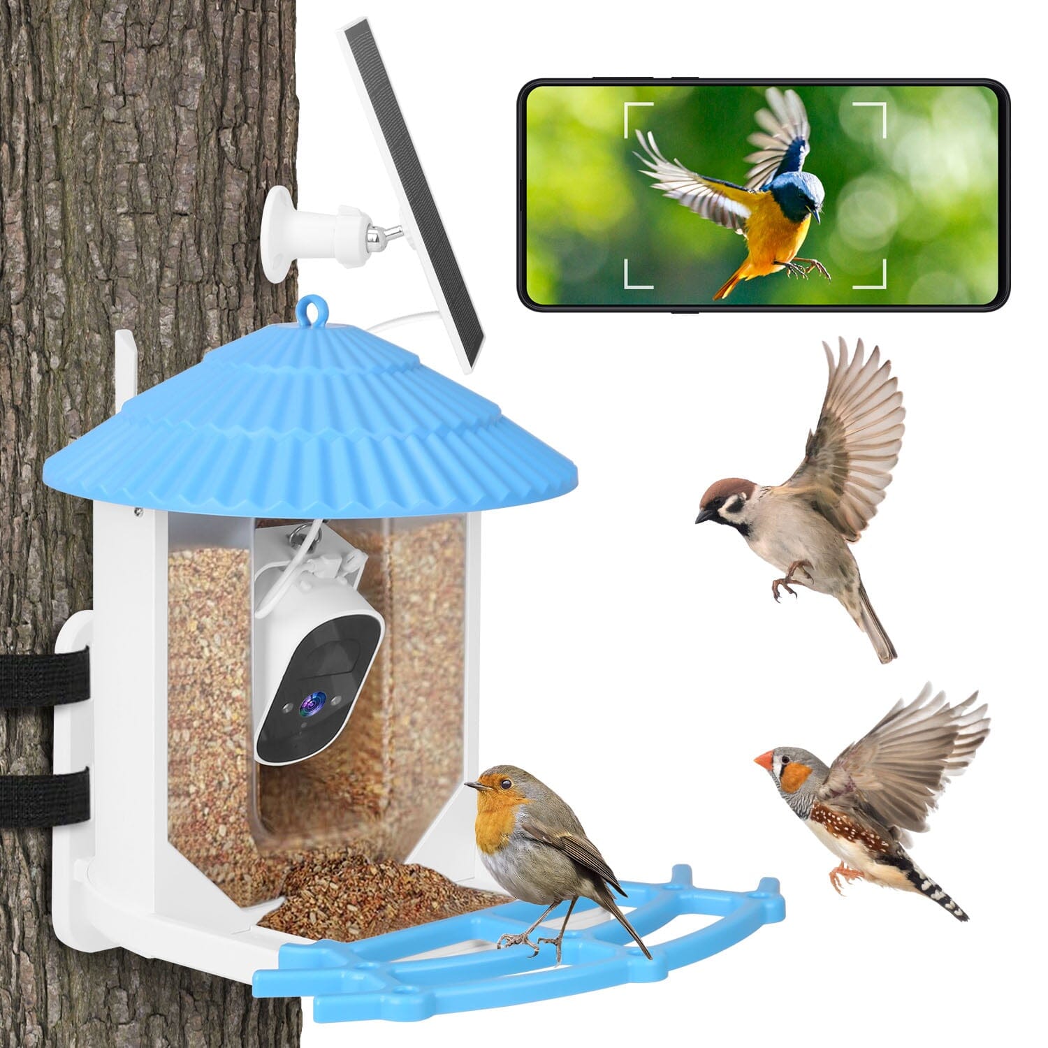 Solar Powered Smart Bird Feeder with PIR Motion AI Two-Way Audio Discount Collections