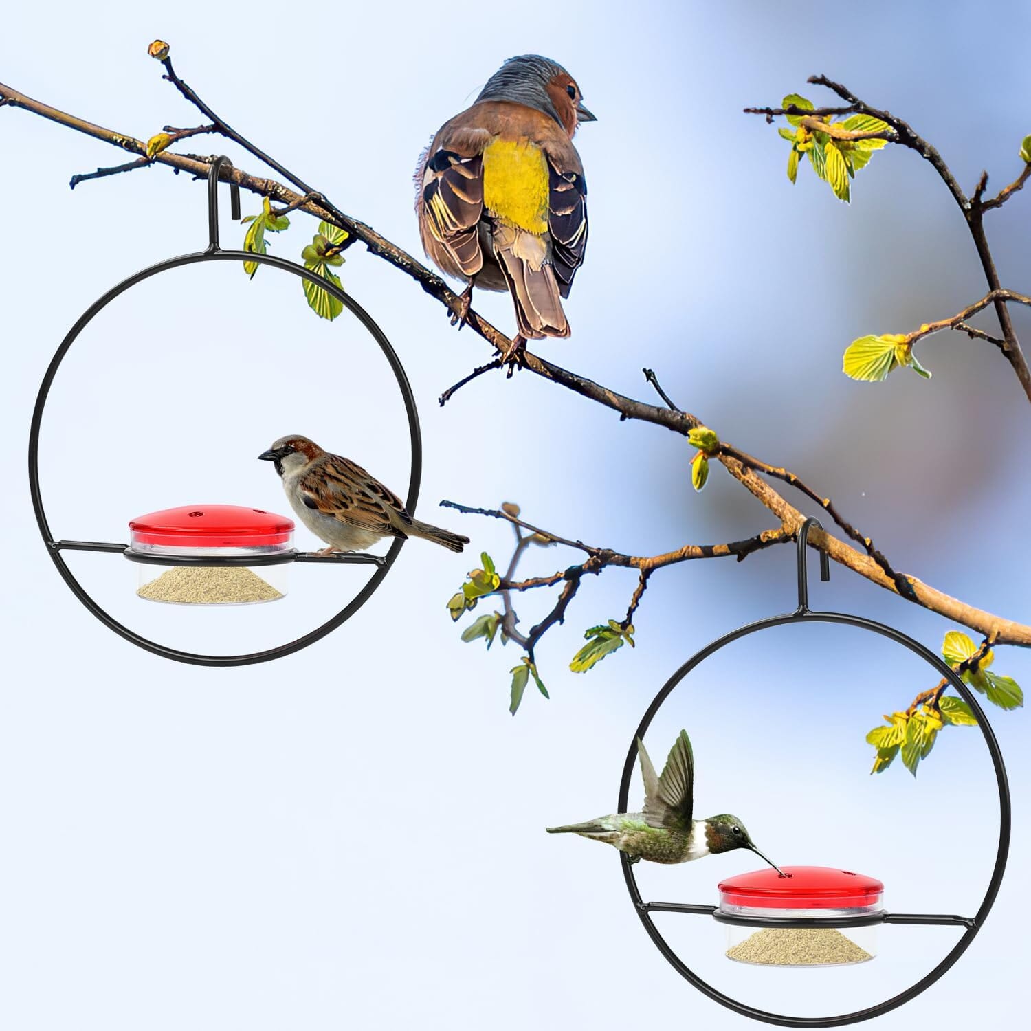 3-Pieces: Stackable Hanging Humming Bird Feeder with Metal Frame & Red Plastic Bowl Clearance Best Store To Get