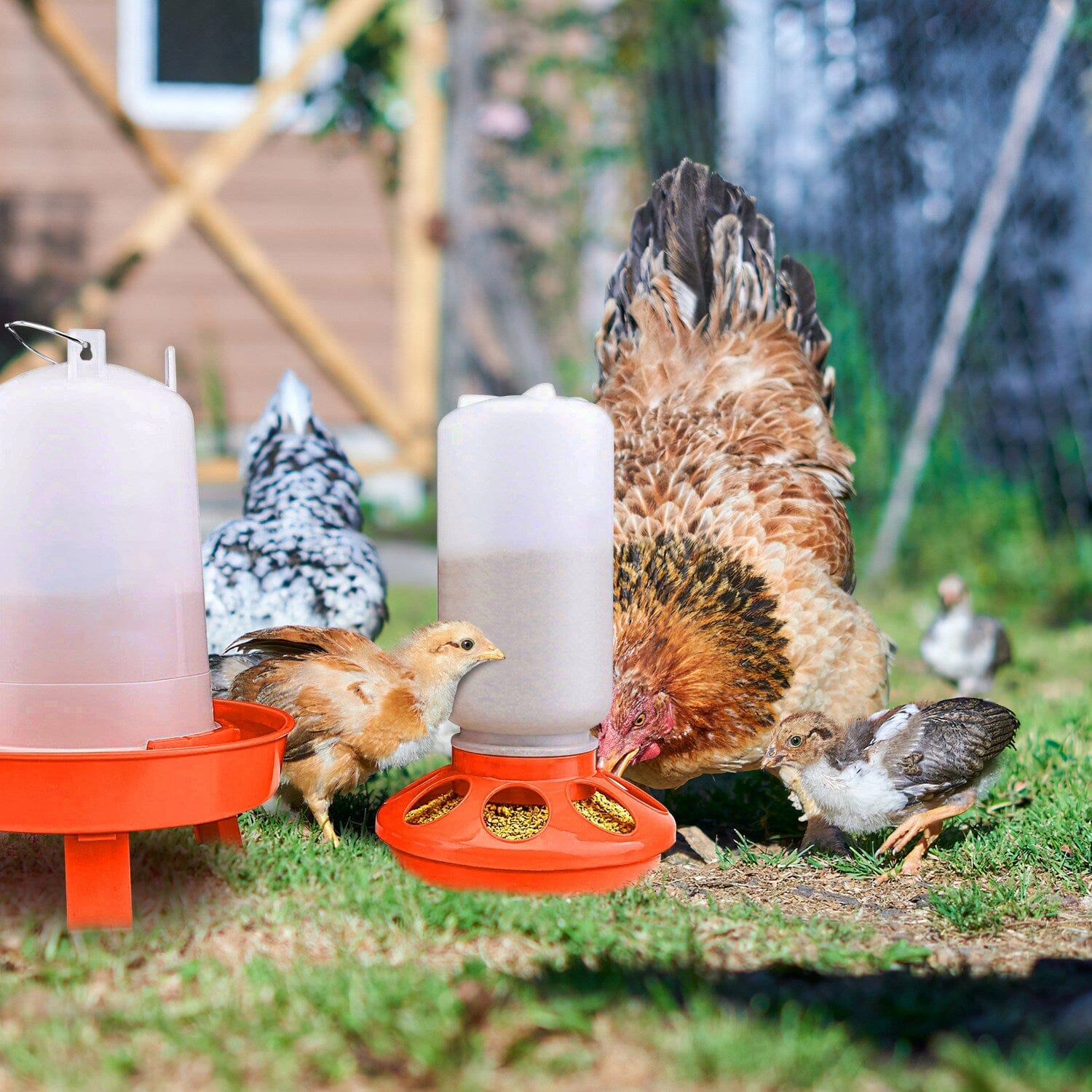 1.5L Chicken Feeder Adjustable Height Waterer Set Buy Cheap Footlocker Pictures