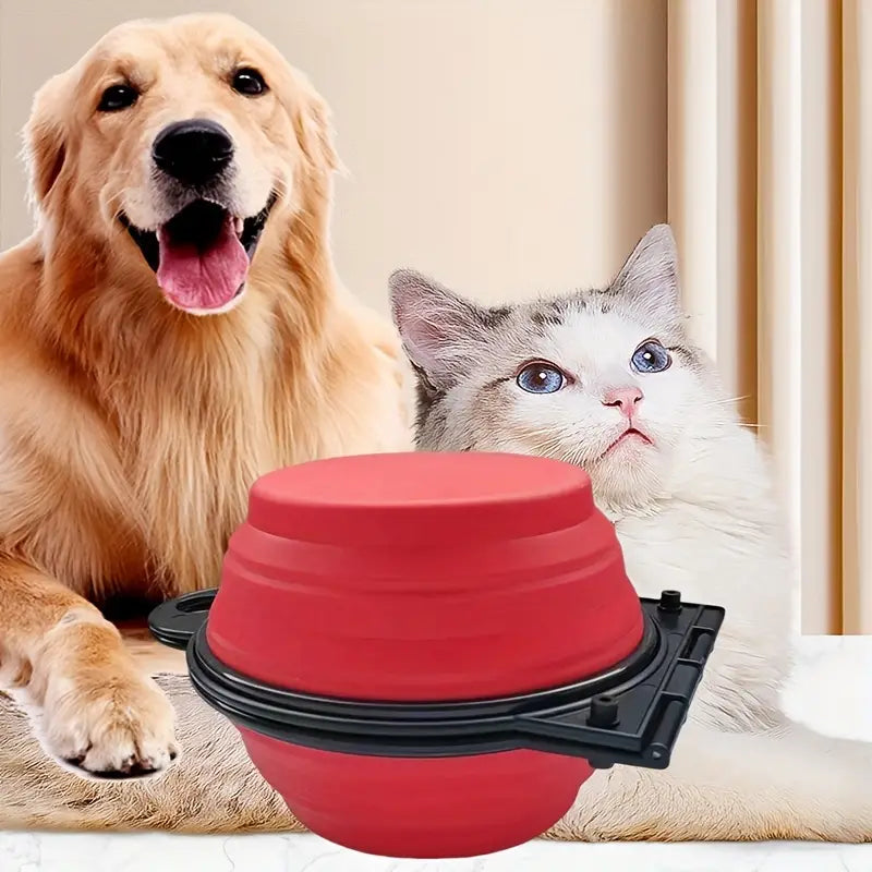 2-in-1 Collapsible Double Dog Bowl Discount Eastbay