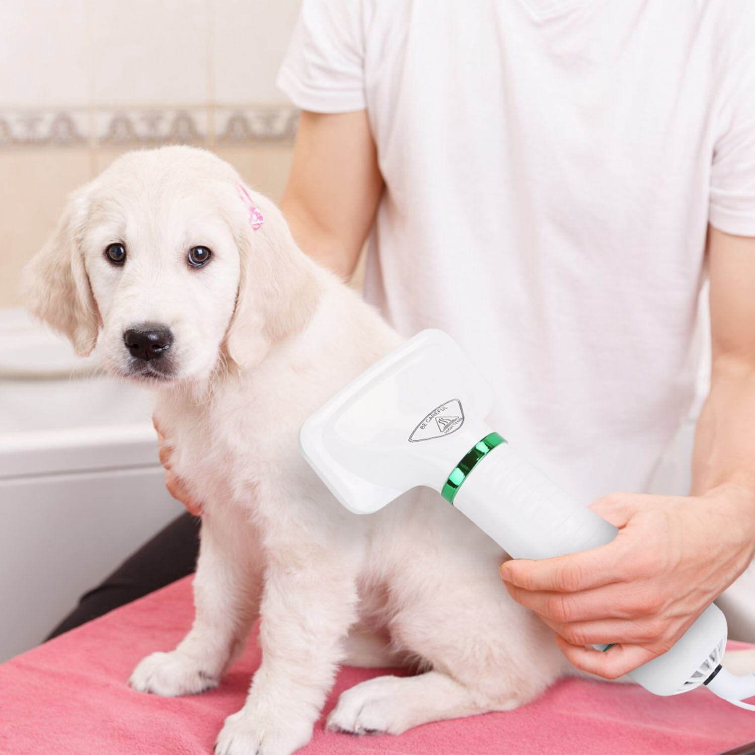 2-in-1 Multifunctional Pet Grooming Hair Dryer Clearance New Arrival