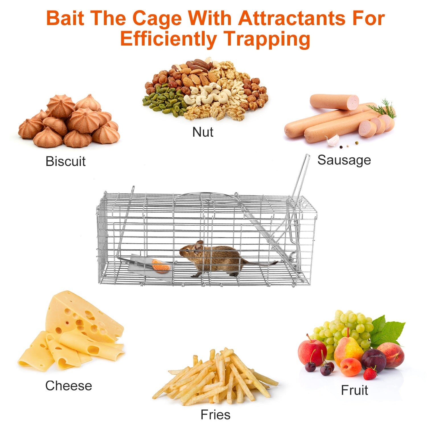 Foldable Rat Trap Cage Humane Live Rodent Trap Cage Original Online