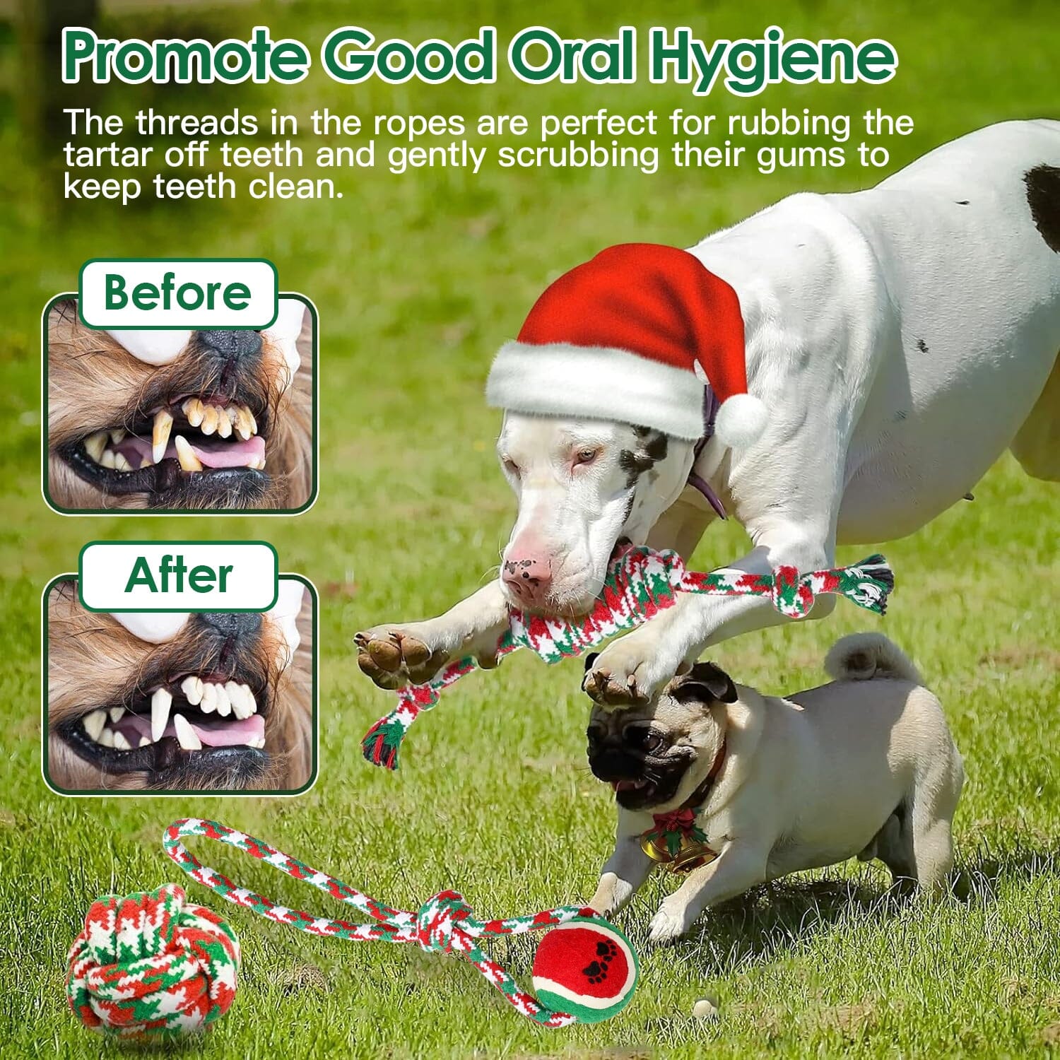 5-Pieces: Christmas Dog Rope Chew Toys Cheap Sale From China