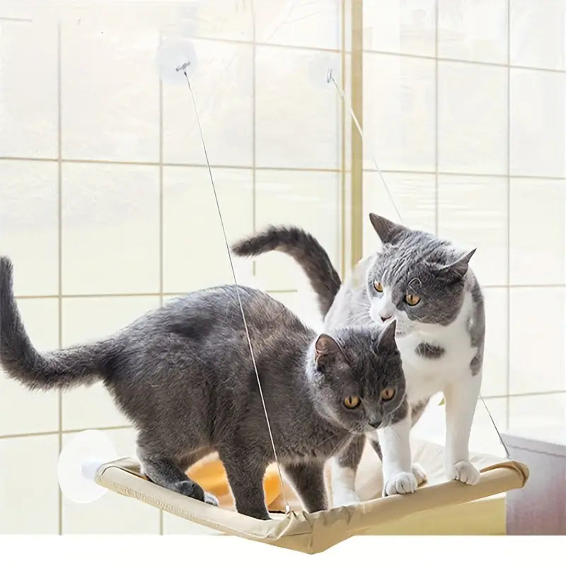 360∞ Cat Window Hammock: A Space-Saving Sunny Seat for Indoor Cats! Outlet Find Great