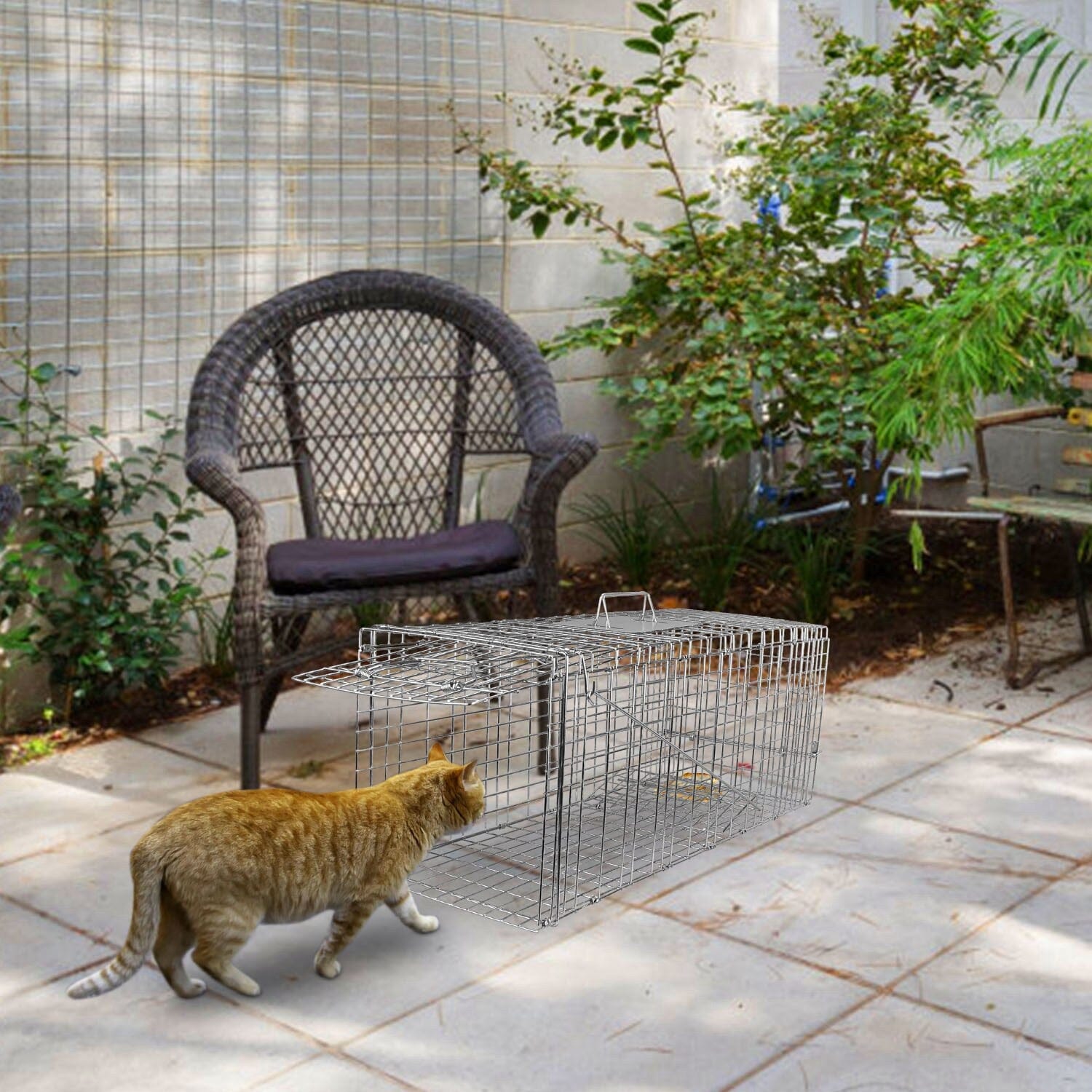 Humane Catch Release Live Animal Collapsible Galvanized Wire Trap Cage Free Shipping Cheap Online