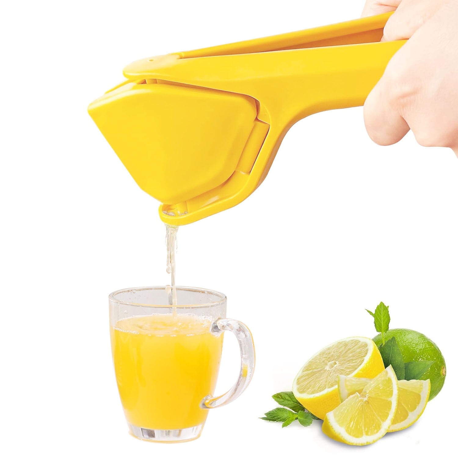 Manual Lemon Squeezer Fold Flat Design Pay With Visa