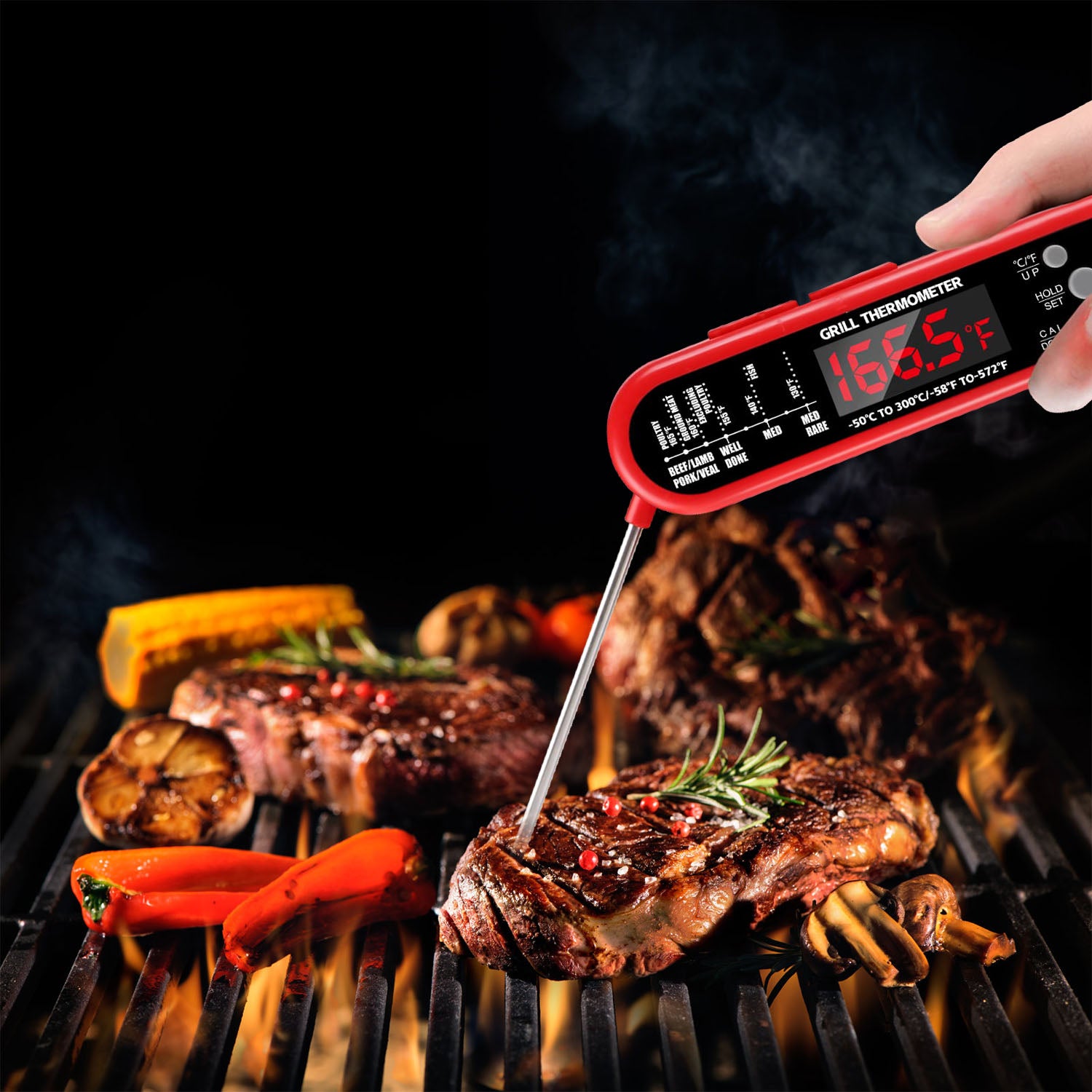 Digital Thermometer BBQ Meat Food Cooking Temperature Tester 100% Authentic Cheap Online