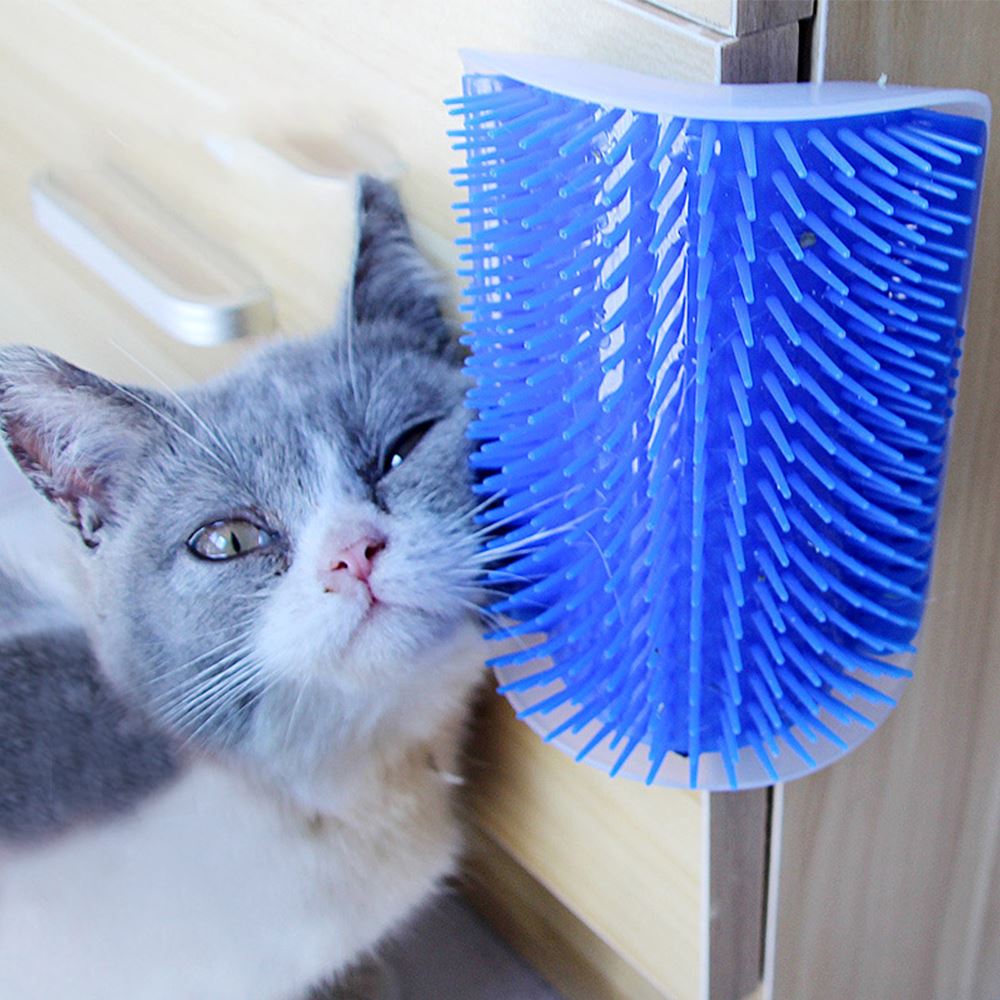 Cat Toy Groomer Pick A Best Cheap Pice