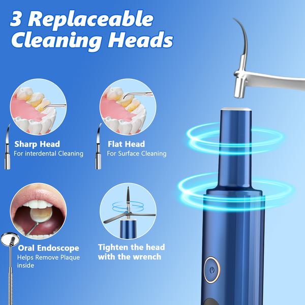 Electric Plaque Remover for Teeth, Rechargeable Teeth Cleaning Kit with 4 Modes Buy Cheap Discounts