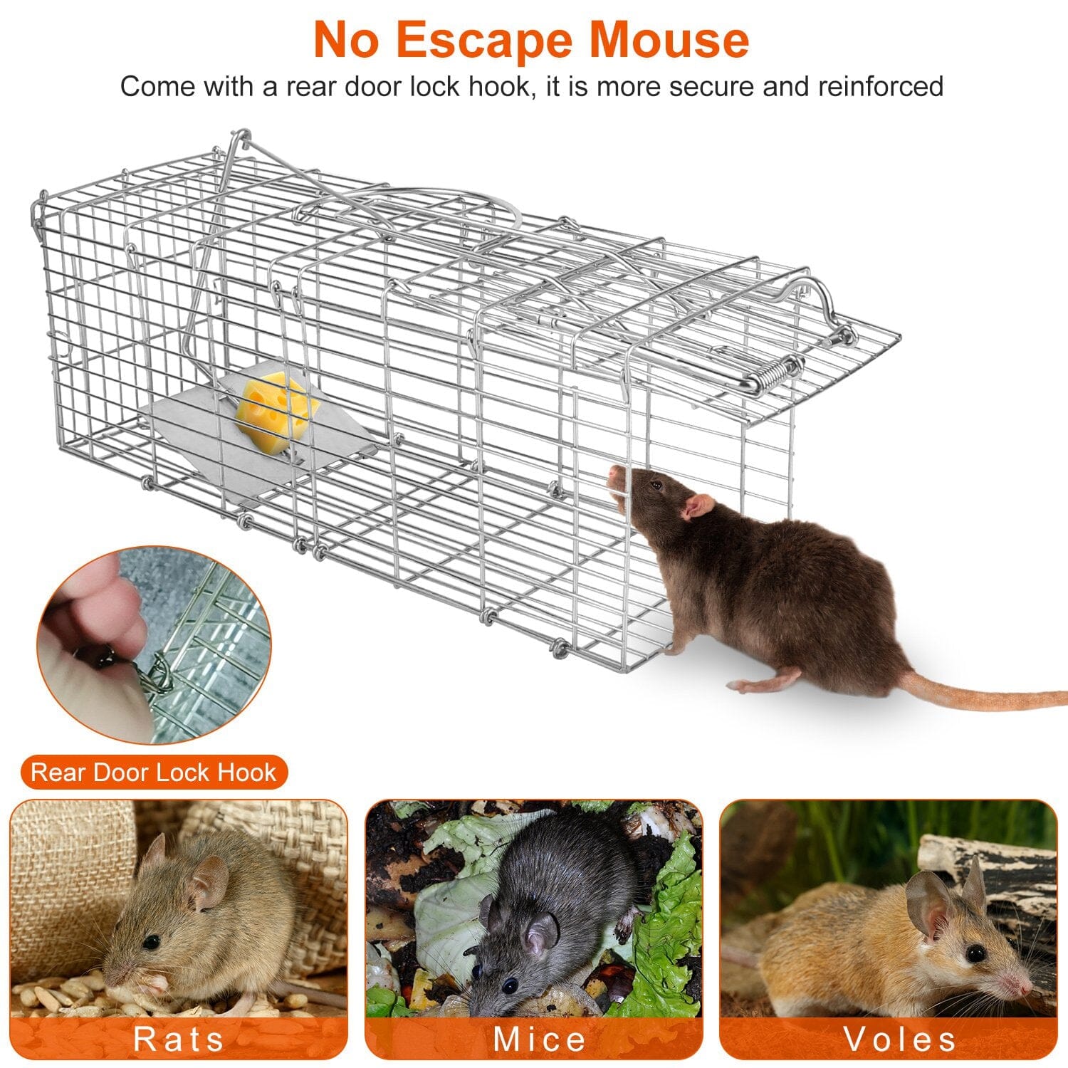 Foldable Rat Trap Cage Humane Live Rodent Trap Cage Original Online