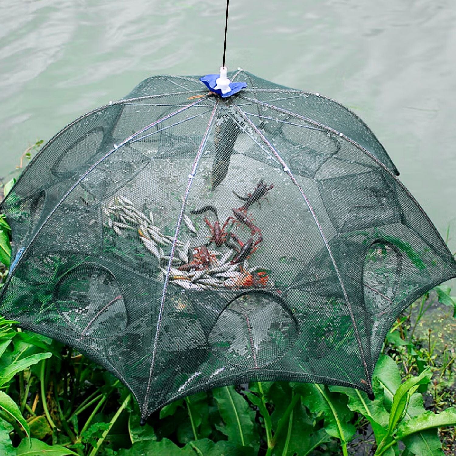 Foldable Fishing Bait Net Trap Visit Cheap Pice