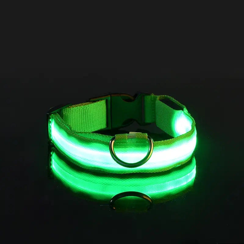 LED Dog Collars Light Adjustable Flashing Luminous Collar Night Anti-Lost Cheap Sale Perfect