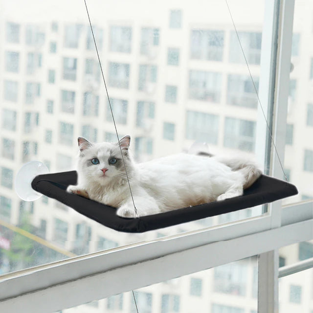 360∞ Cat Window Hammock: A Space-Saving Sunny Seat for Indoor Cats! Outlet Find Great