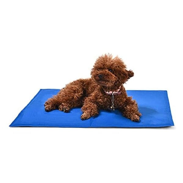 Pet Cooling Mat With Mastercard For Sale