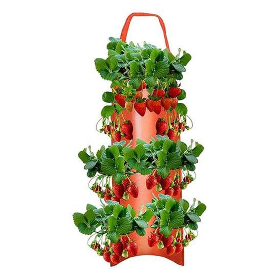 Upside Down Tomato Grow Bag Explore Online