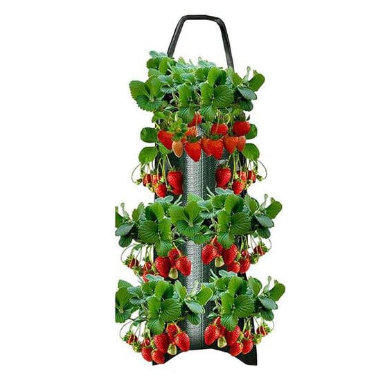 Upside Down Tomato Grow Bag Explore Online