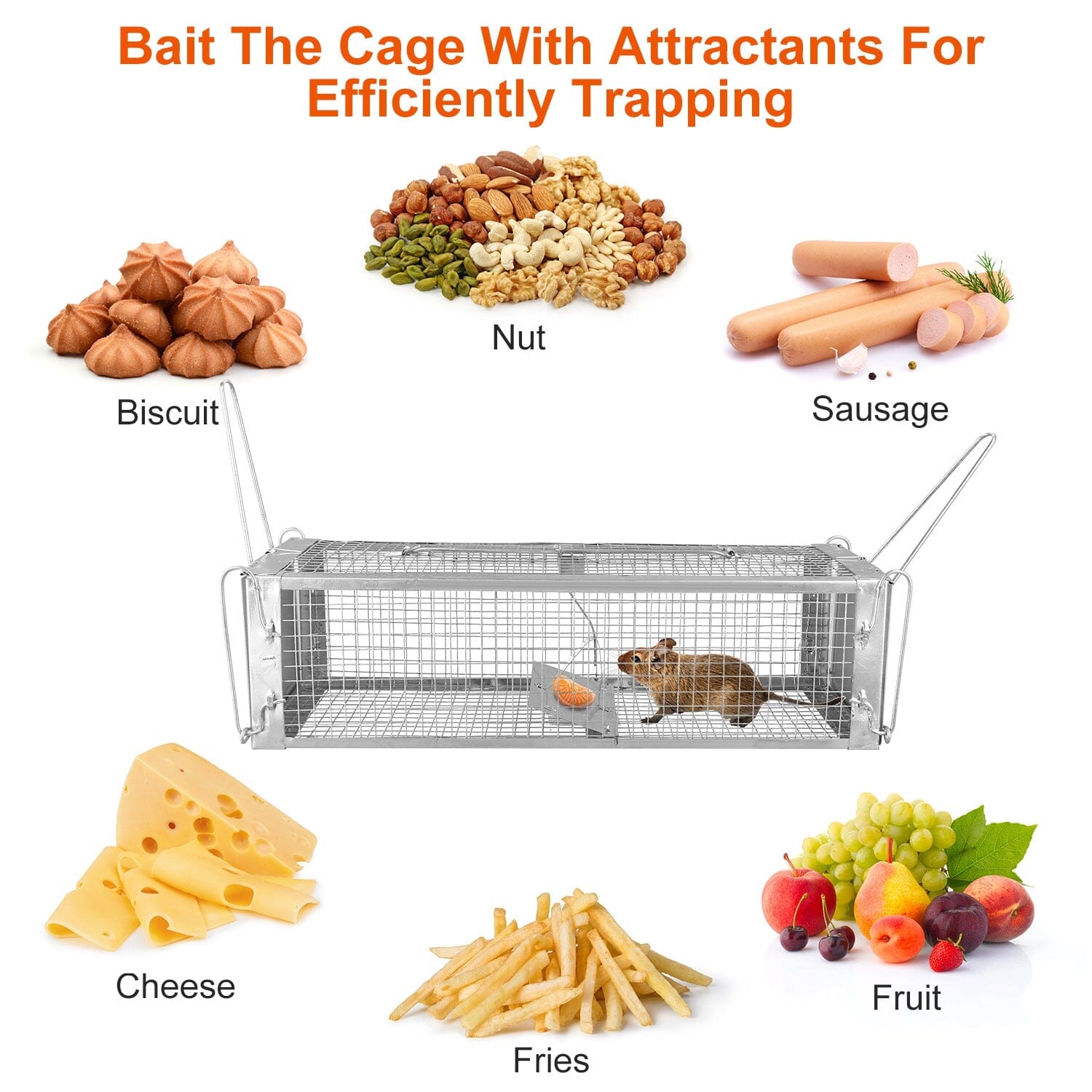 Dual Door Rat Trap Cage Humane with 2 Detachable U Shape Rod Latest Sale Online