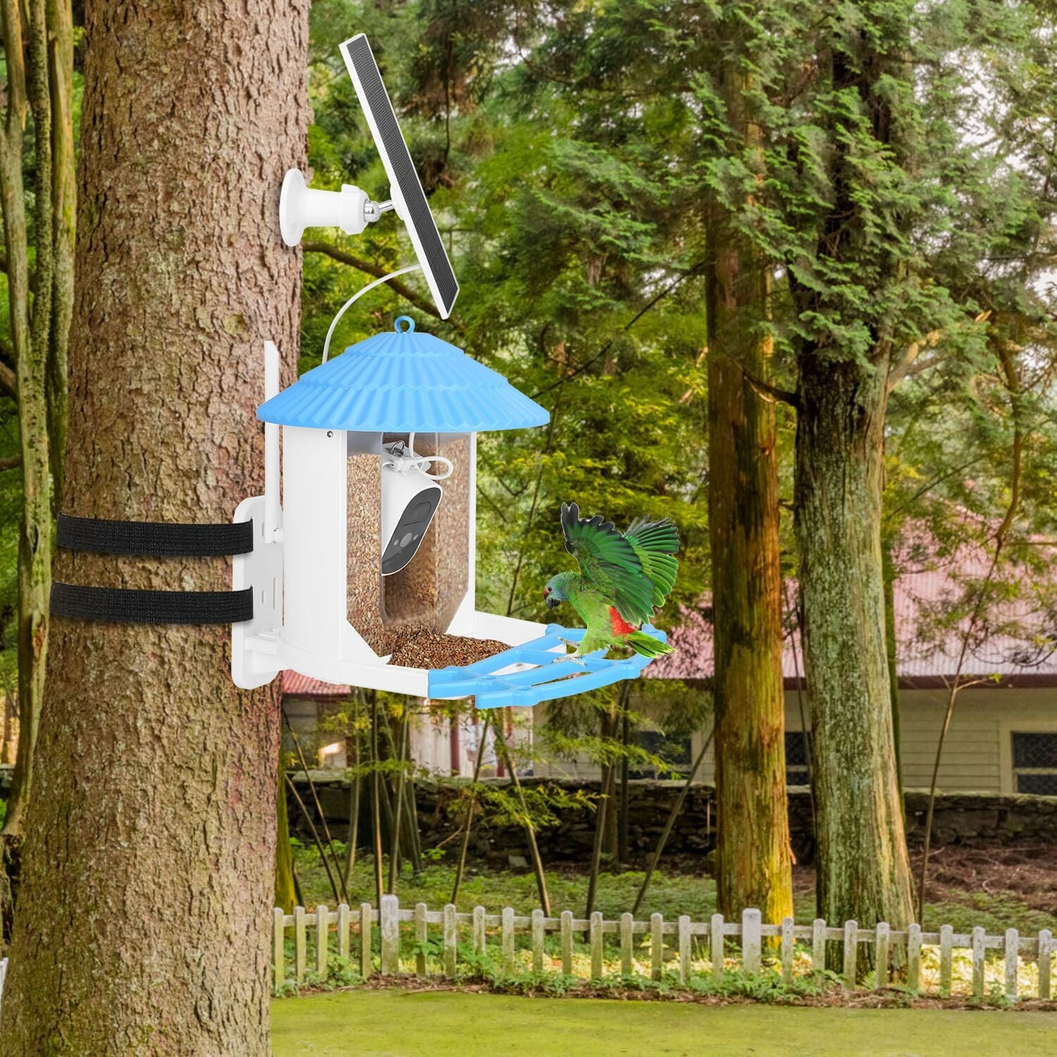 Solar Powered Smart Bird Feeder with PIR Motion AI Two-Way Audio Discount Collections