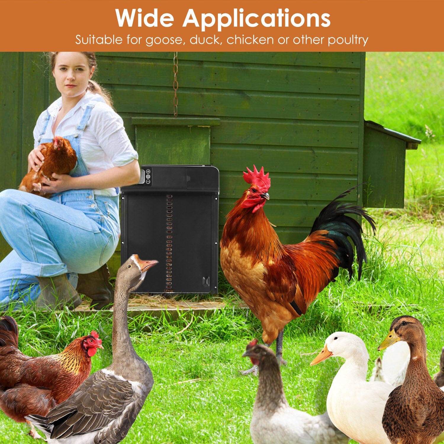 Automatic Chicken Coop Door with Timer Setting Free Shipping Clearance