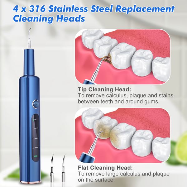 Electric Plaque Remover for Teeth, Rechargeable Teeth Cleaning Kit with 4 Modes Buy Cheap Discounts