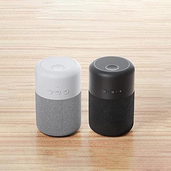 Bluetooth Speakers and Wireless Earbuds Combo Cheapest For Sale