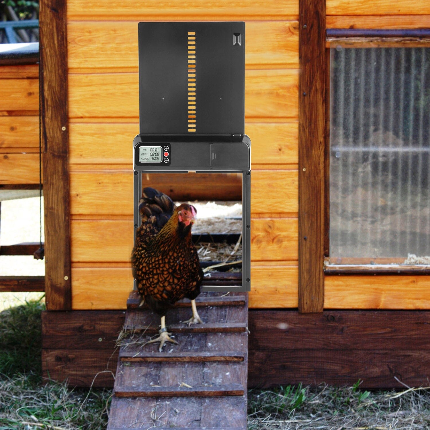 Automatic Chicken Coop Door with Timer Setting Free Shipping Clearance