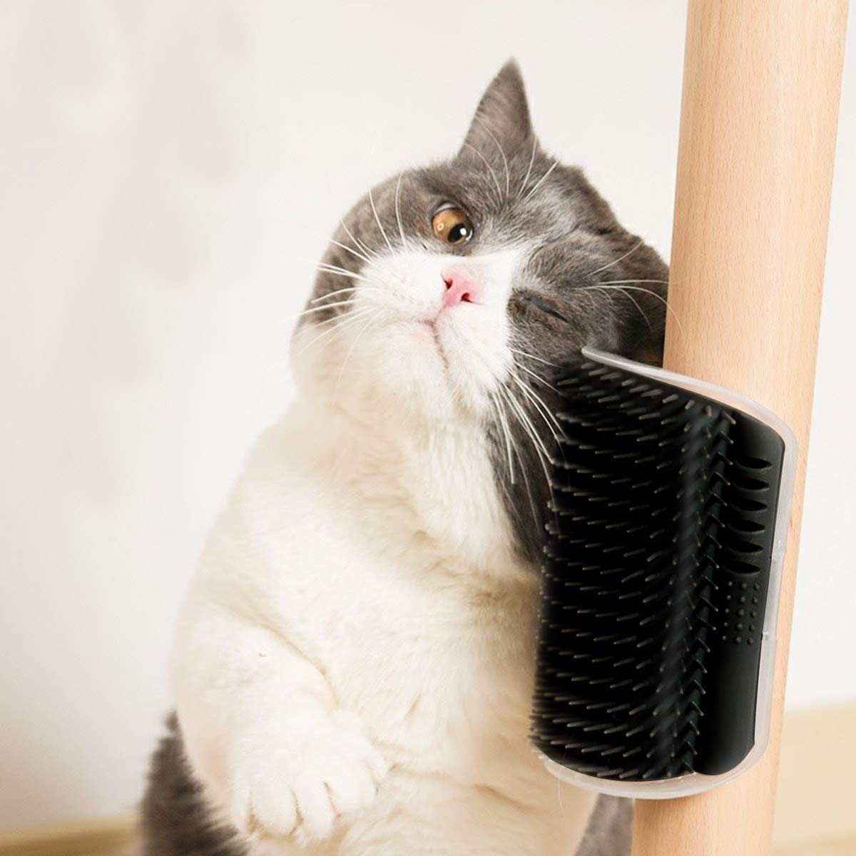 2-Pack: Soft Cat Corner Self Groomer Brush Cheap Manchester