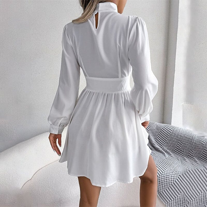 Women's A Line Turtleneck Mini Dress Sale New Styles