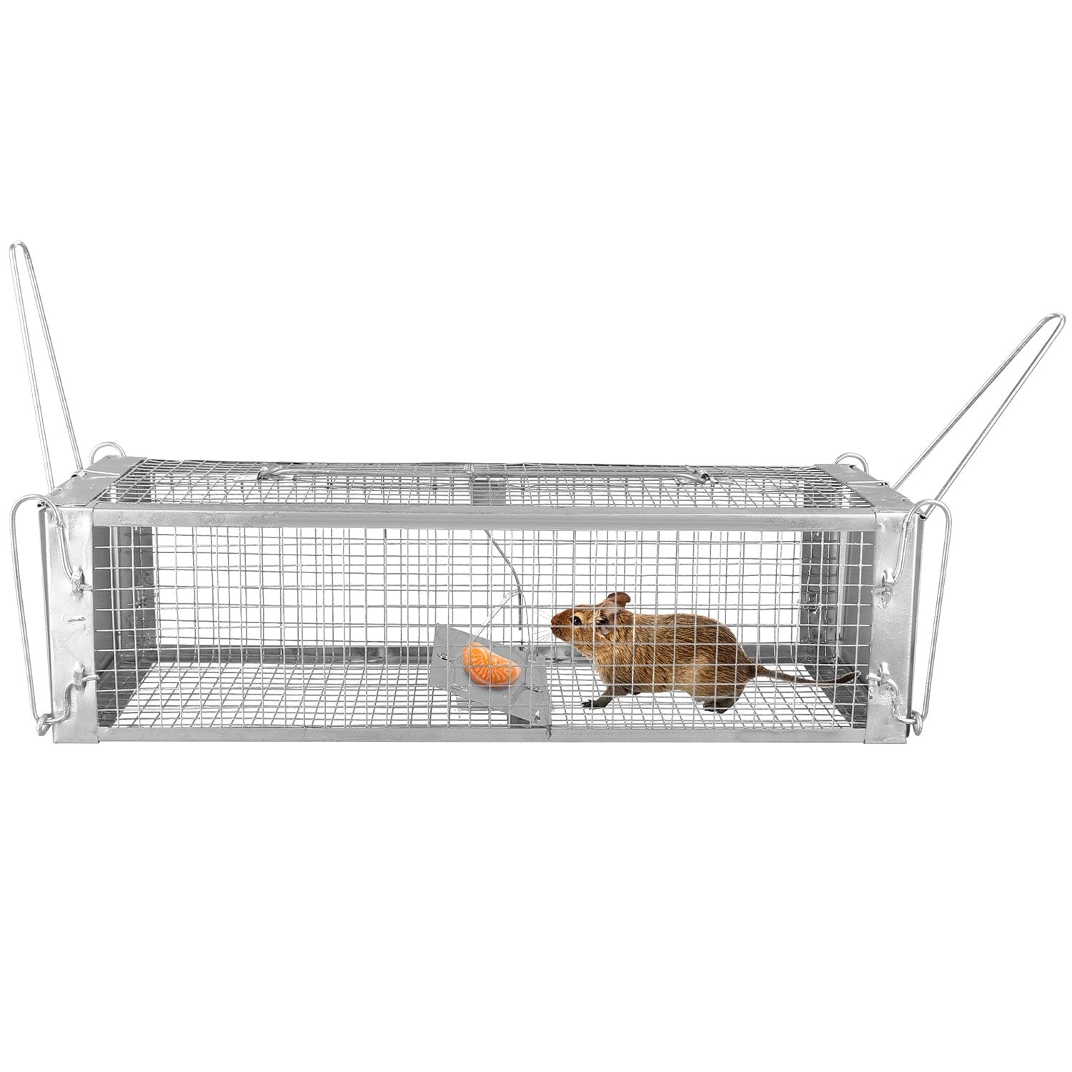 Dual Door Rat Trap Cage Humane with 2 Detachable U Shape Rod Latest Sale Online