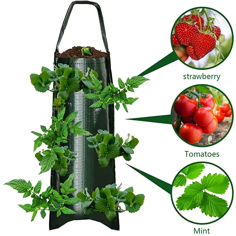 Upside Down Tomato Grow Bag Explore Online