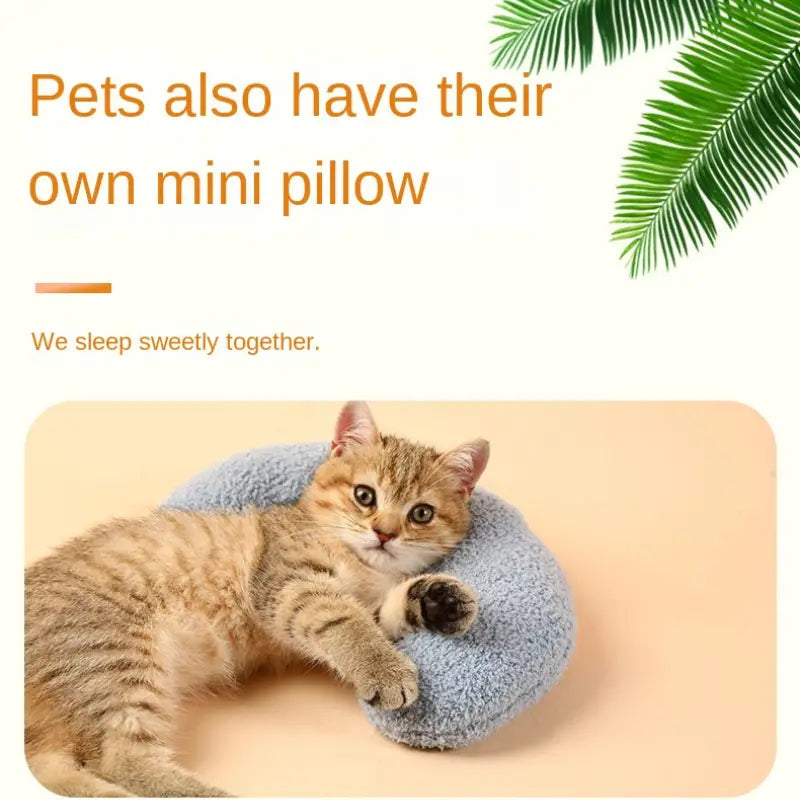 Soft Fluffy Pillows For Indoor Cats Sale Tumblr