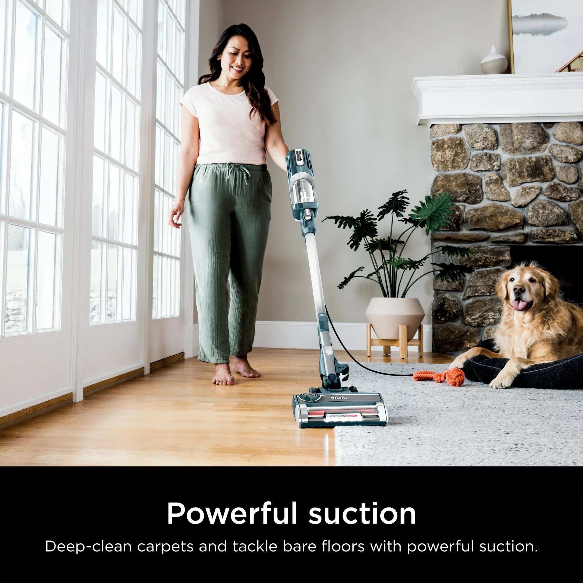 Shark UltraLight Pet Pro Corded Stick Vacuum (Refurbished) Pices Online