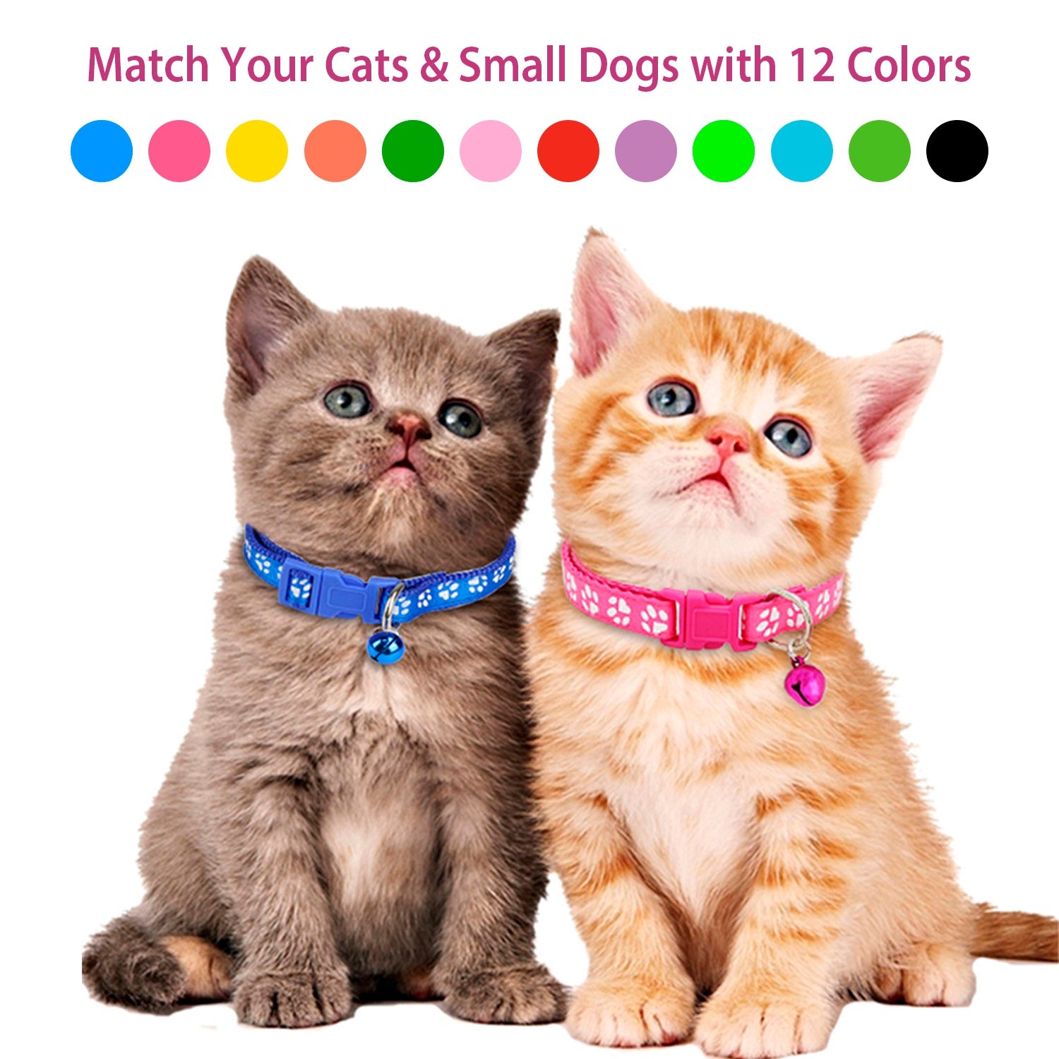 Ca2-Pack: Adjustable Kitten Collar with Bell Name Tag Outlet For Sale