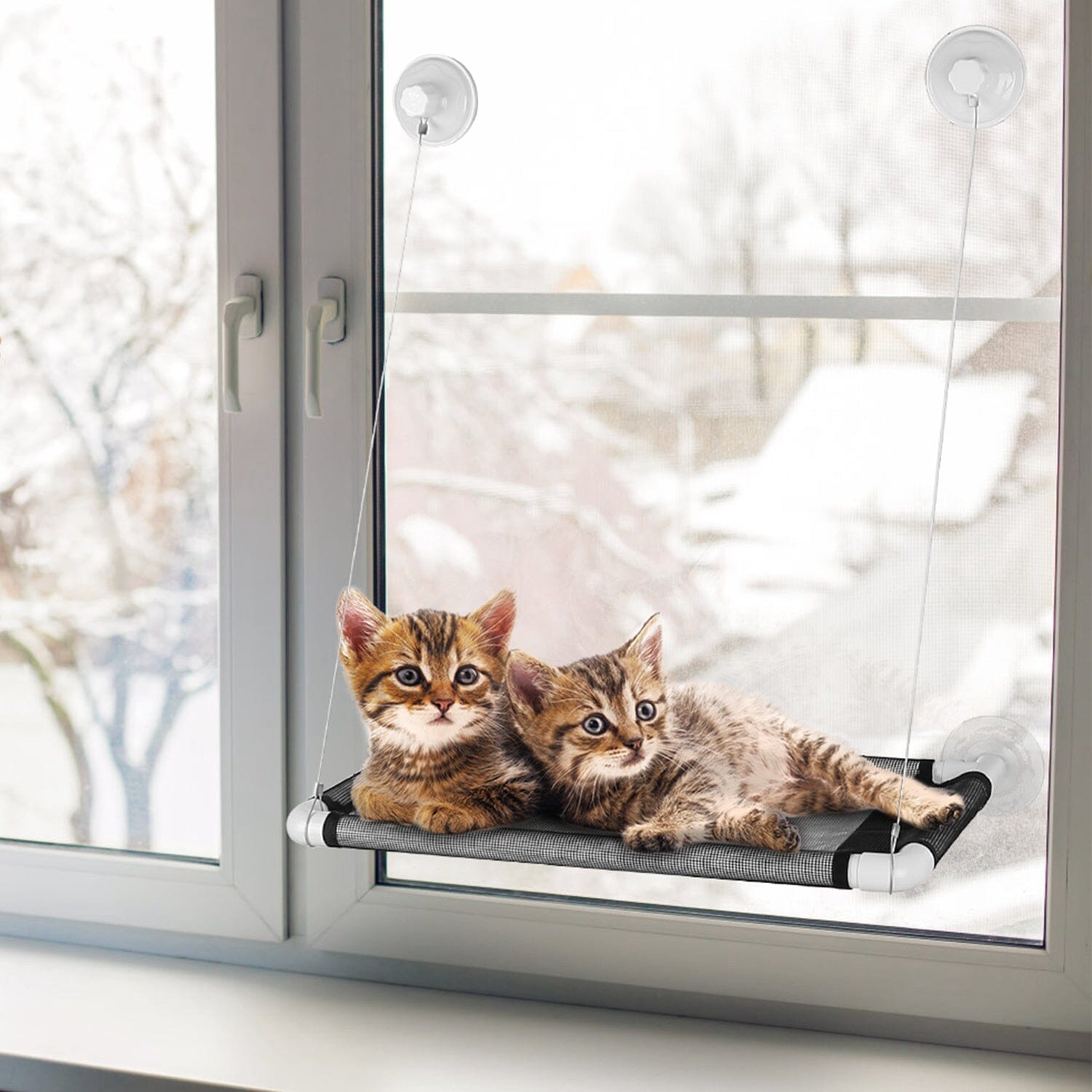 Cat Window Perch Cat Hammock Window Seat Buy Cheap 100% Original
