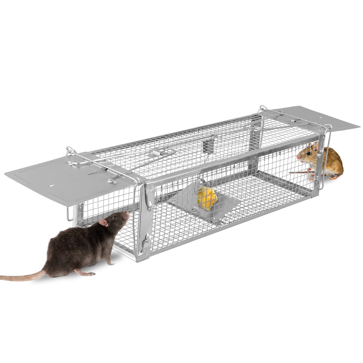 Dual Door Rat Trap Cage Humane with 2 Detachable U Shape Rod Latest Sale Online