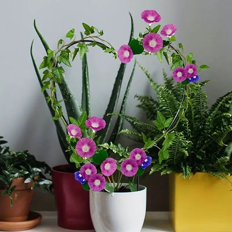 2-Pack: Heart-Shaped Plant Support Stake For Sale Sale Online