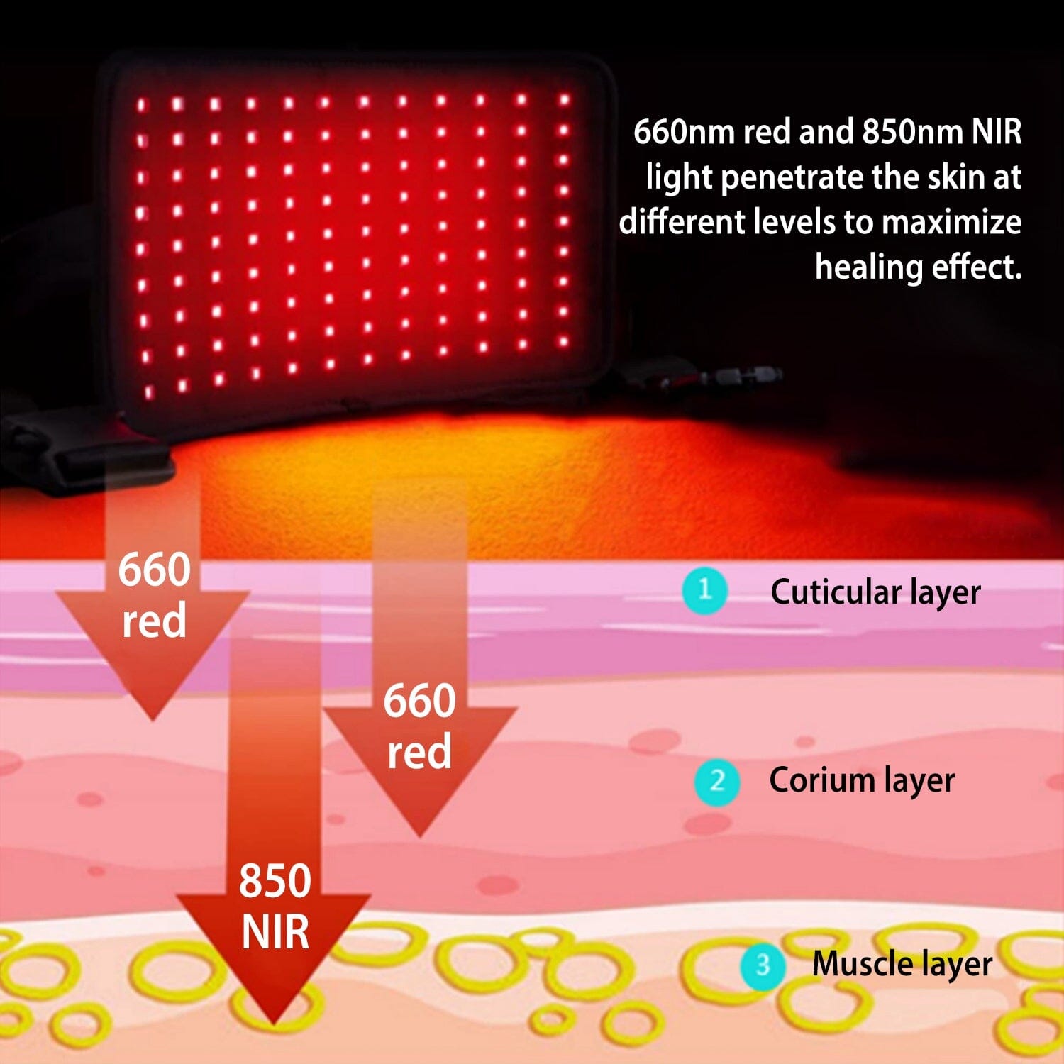 LED Red Light Therapy Belt Shop For Online