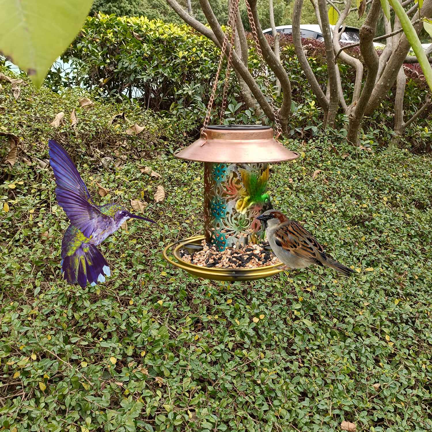 Solar Decorative Hanging Bird Feeder Lantern Brand New Unisex Cheap Online