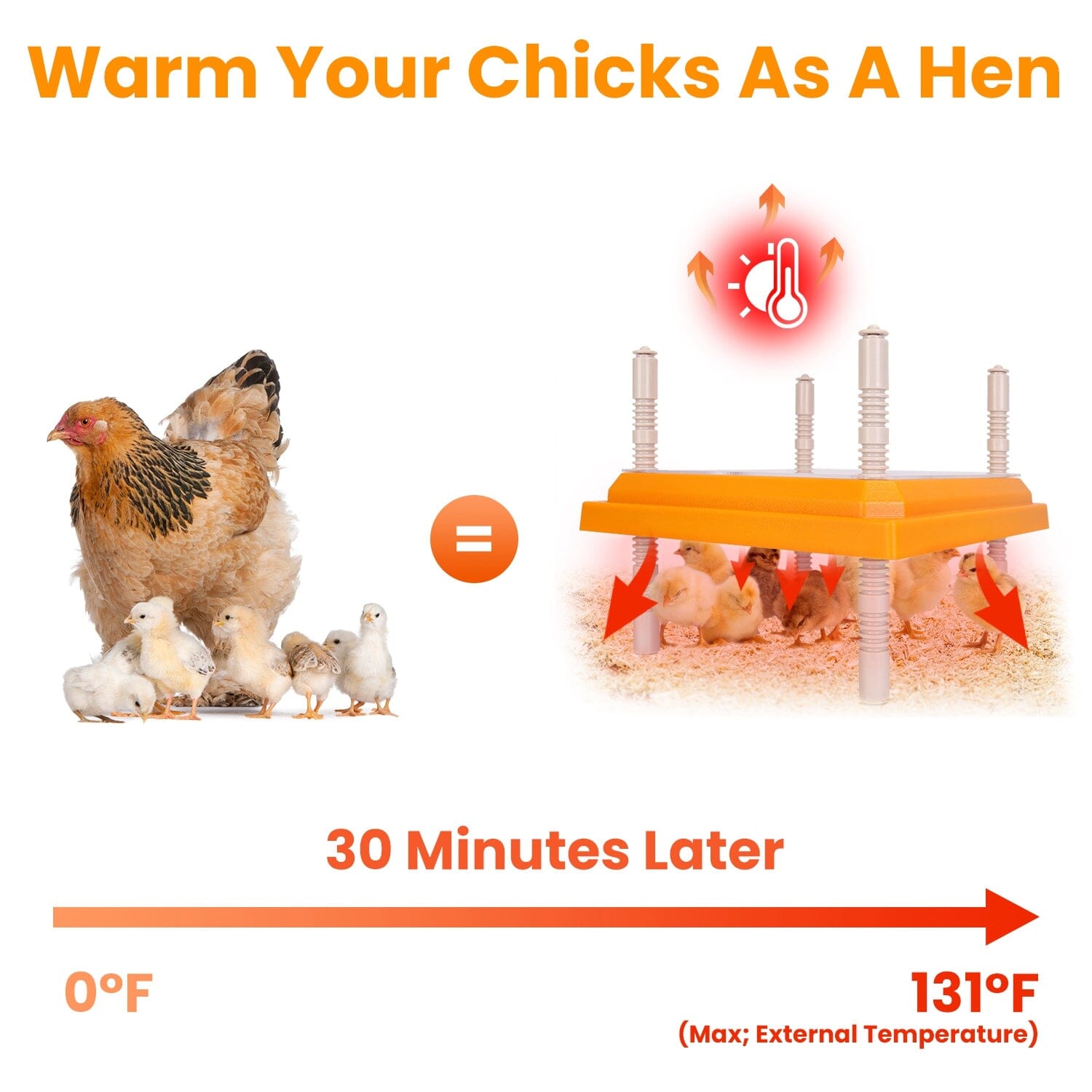 15W Chicken Brooder Heater with Adjustable  Height Angle Max 131℉ Shipping Outlet Store Online