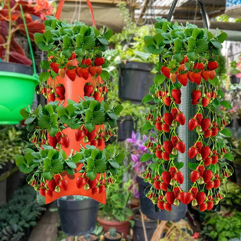 Upside Down Tomato Grow Bag Explore Online