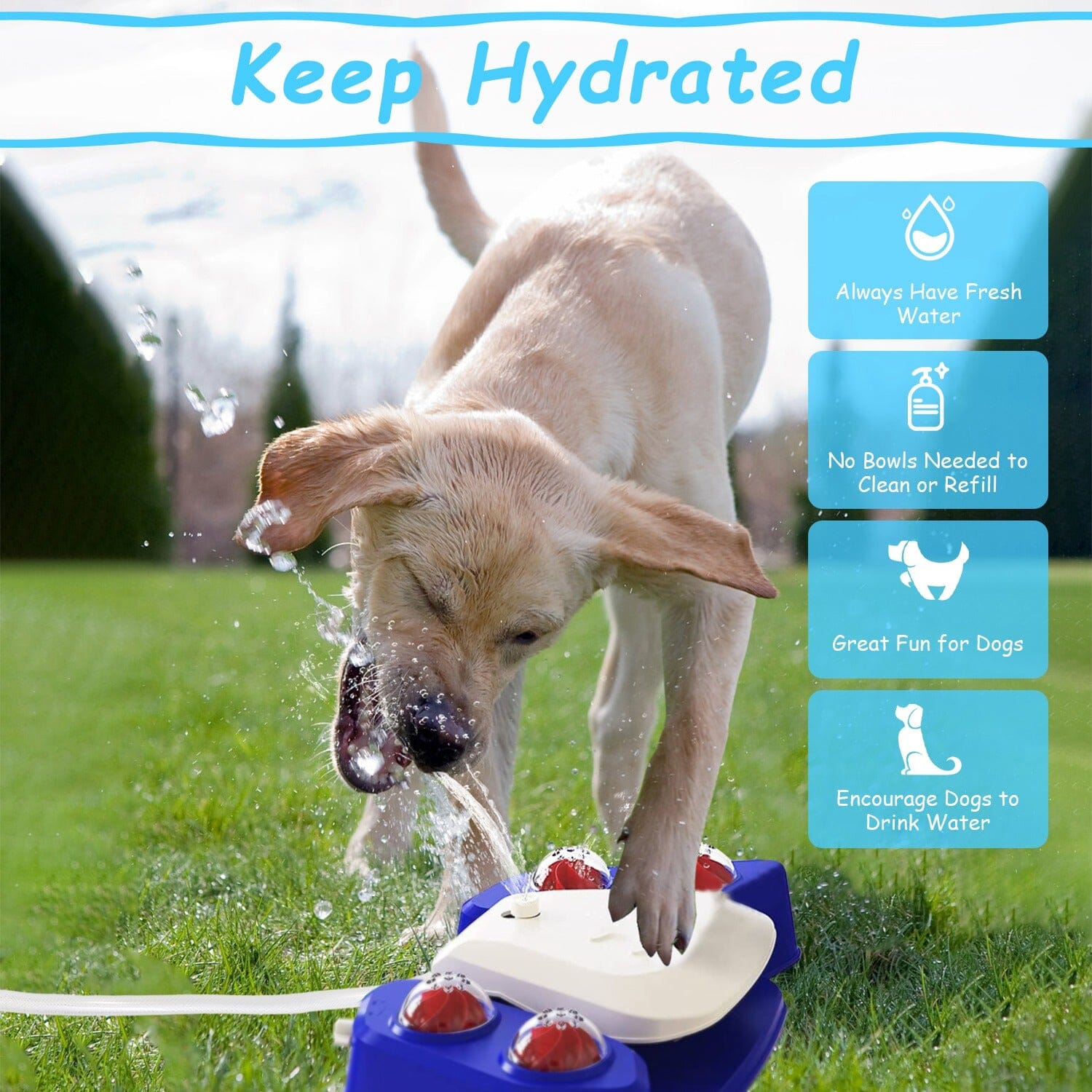 Multifunctional Automatic Pet Water Dispenser Outdoor Step-on Activated Sprinkler Sale Reliable