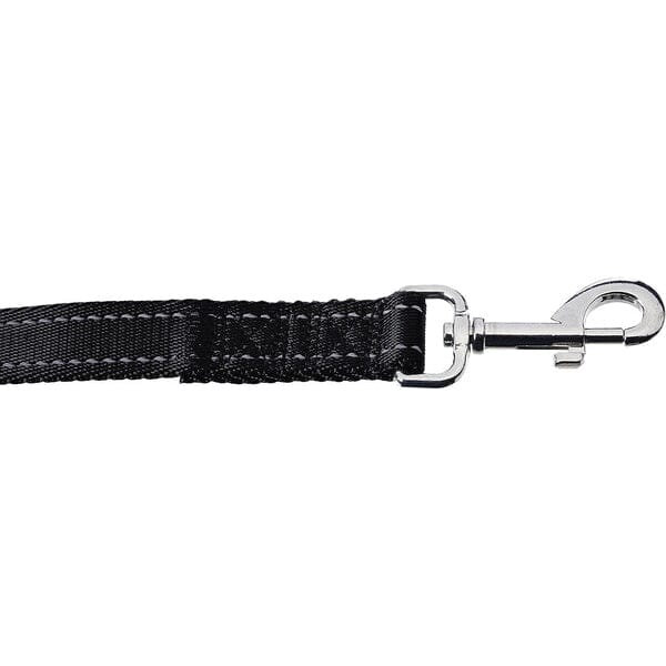 5 Foot Padded Single Handle Dog Leash Latest Collections Online