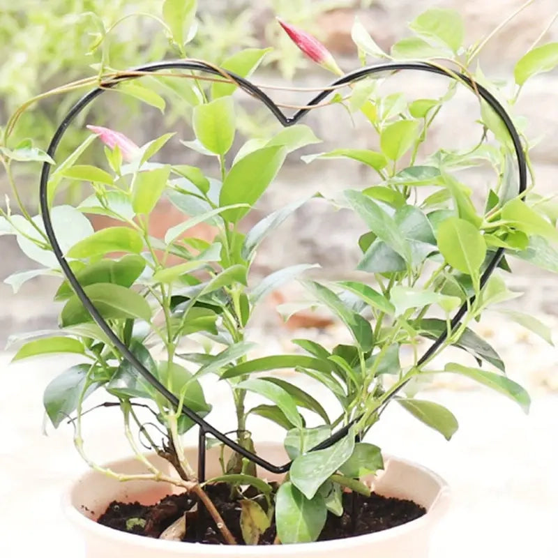 2-Pack: Heart-Shaped Plant Support Stake For Sale Sale Online