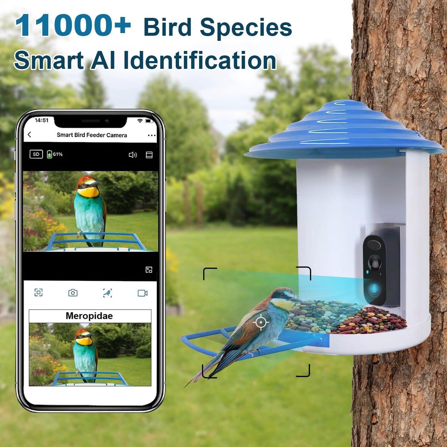 Smart Bird Feeder with Solar Powered Camera 1080P HD AI Identify PIR Huge Surprise Cheap Online