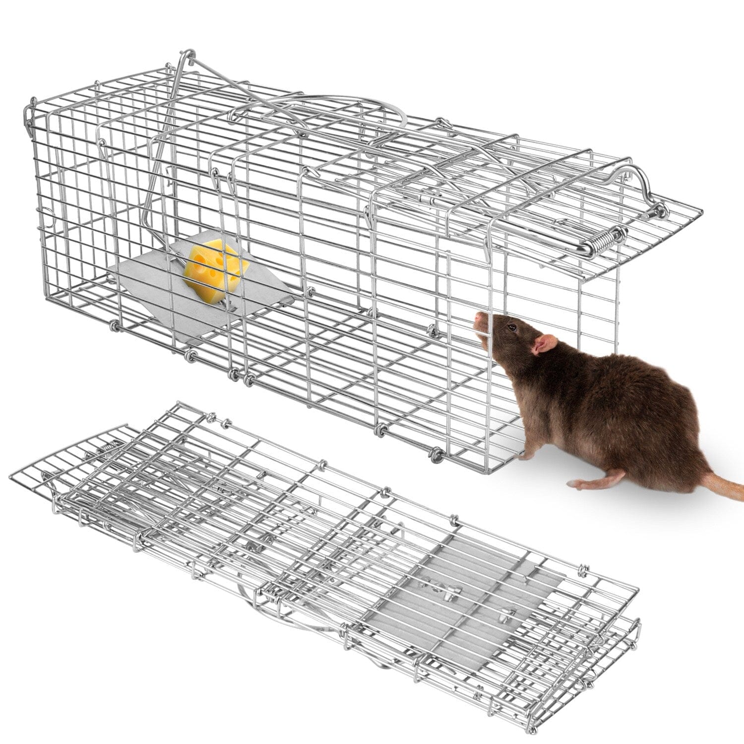 Foldable Rat Trap Cage Humane Live Rodent Trap Cage Original Online