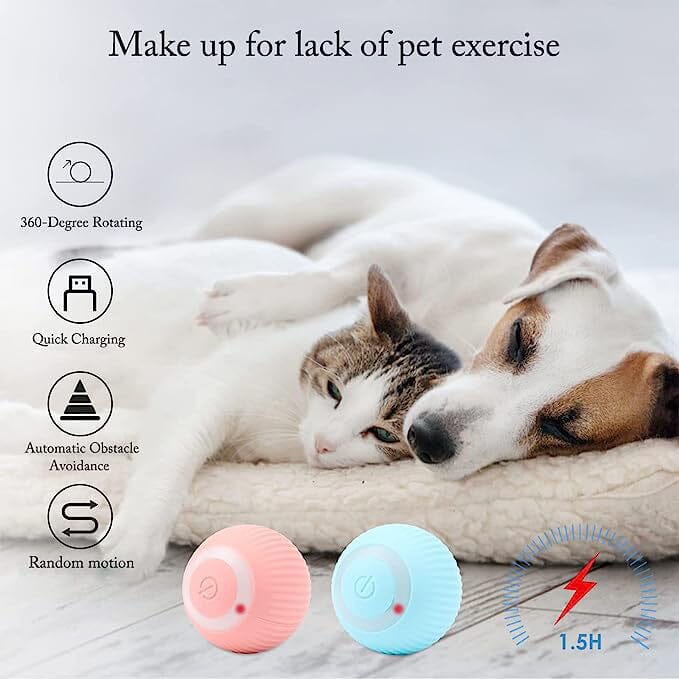 Found Notice Smart Interactive Cat Toy Best Seller For Sale