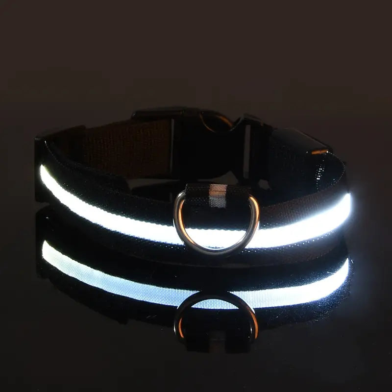 LED Dog Collars Light Adjustable Flashing Luminous Collar Night Anti-Lost Cheap Sale Perfect