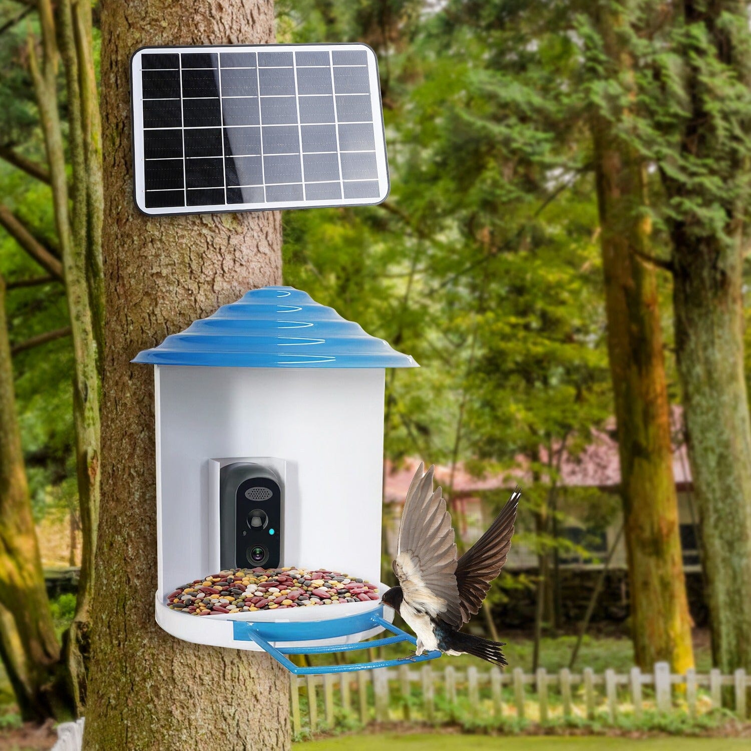 Smart Bird Feeder with Solar Powered Camera 1080P HD AI Identify PIR Huge Surprise Cheap Online