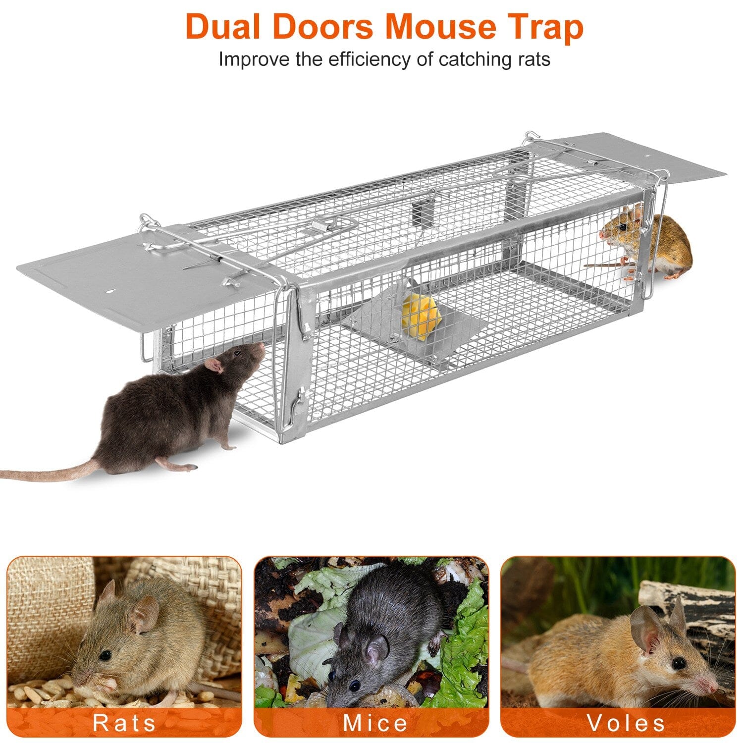 Dual Door Rat Trap Cage Humane with 2 Detachable U Shape Rod Latest Sale Online