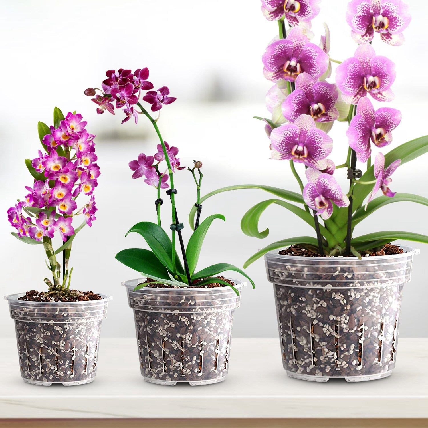 9-Piece: Orchid Pots Clear Reusable Plastic Flower Plant Nursery Planter Buy Cheap Free Shipping